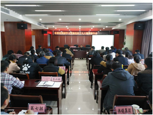 文投集團第二黨支部聆聽(tīng)市委宣講團學(xué)習貫徹黨的十九大精神報告會(huì )